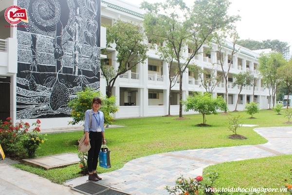 Sân sau của trường đại học James Cook, Singapore